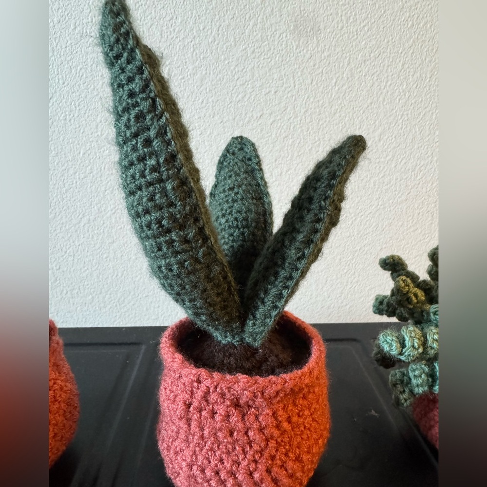 Handcrafted Crochet Plants